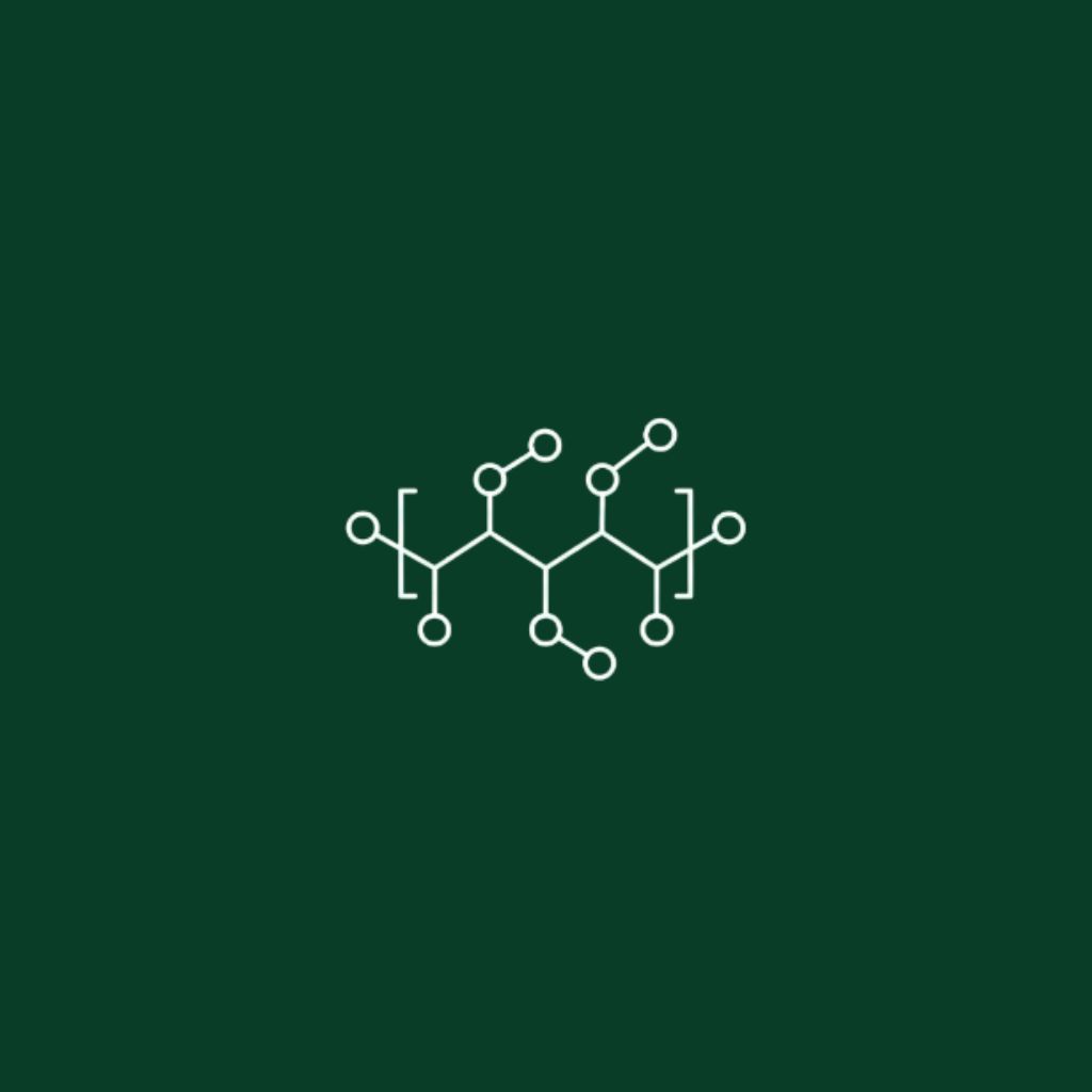 Ilustración estilizada de la cadena molecular del polipropileno dibujada con líneas y círculos blancos sobre un fondo verde oscuro. Este material es uno de los principales polímeros que procesa la empresa Plasnovo.